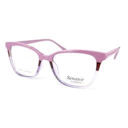 Hilton Eyewear Senator 384