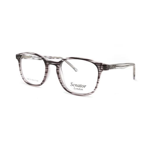 Hilton Eyewear Senator 388