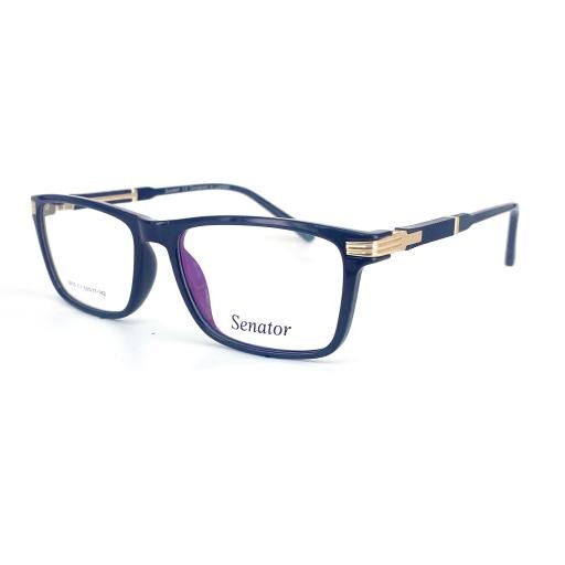 Hilton Eyewear Senator 610