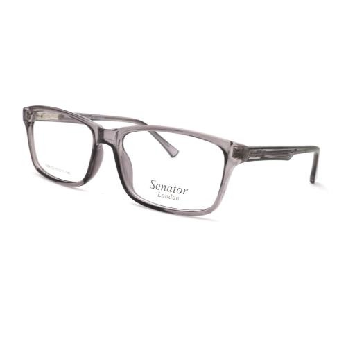 Hilton Eyewear Senator 619